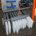 6739e1dd_ice plant